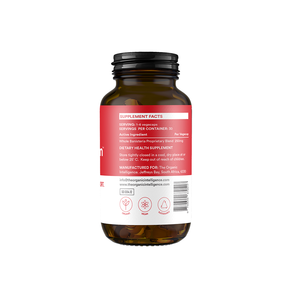 Continuum™ | Restful Sleep, Immune Support, Anti-Ageing - Image 2